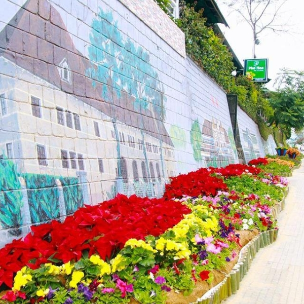 * DALAT CITY TOUR: EXPLORING THE CHARMING CITY