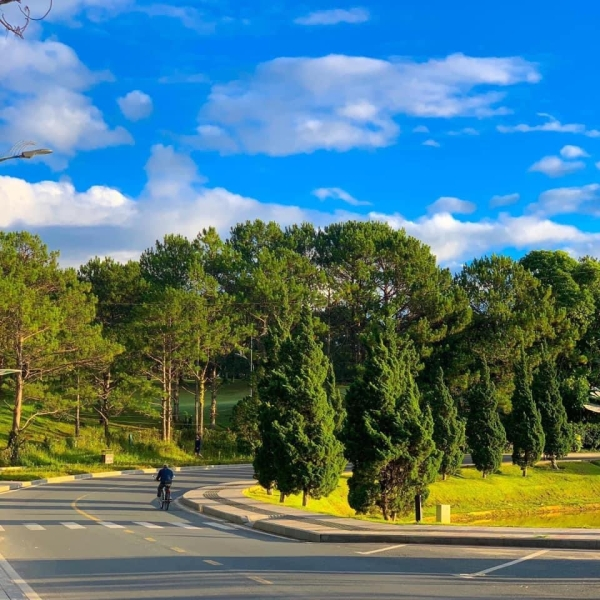 * DALAT CITY TOUR: EXPLORING THE CHARMING CITY
